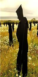 A FLORAL TRIBUTE TO OUR WWII HEROES