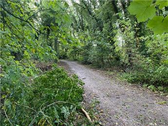 Upper Clatford Conservation Group - Volunteers wanted