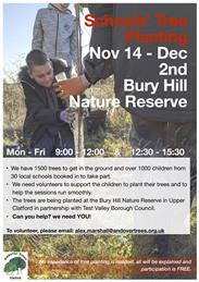Tree Planting Bury Hill Ring