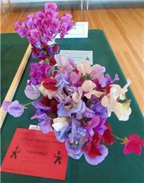Outstanding Garden Club Produce Show